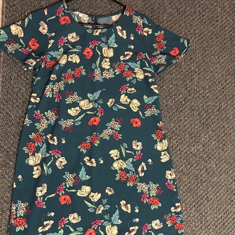 Flower Print Maurices Dress